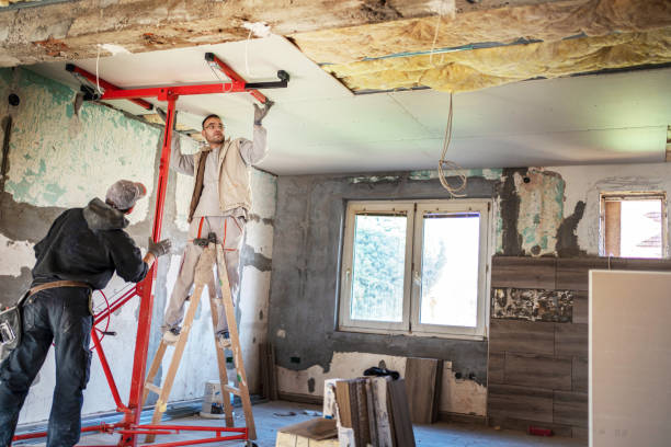 Best Insulation Maintenance and Repair in Pelahatchie, MS
