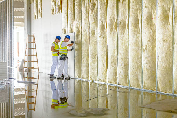 Best Residential Insulation in Pelahatchie, MS